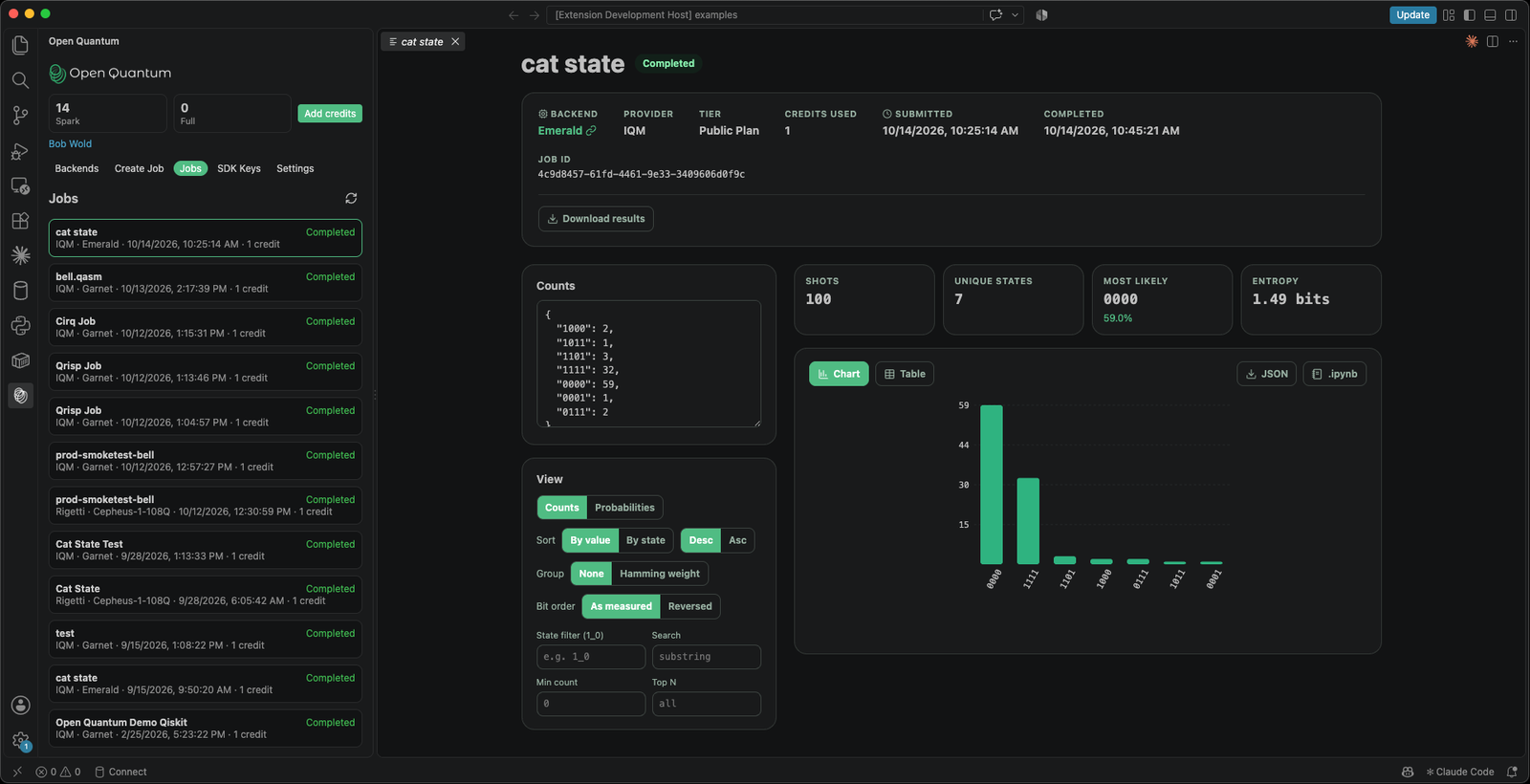 Measurement counts as a chart or table, with state filters, a bit-order toggle, and JSON or notebook downloads.